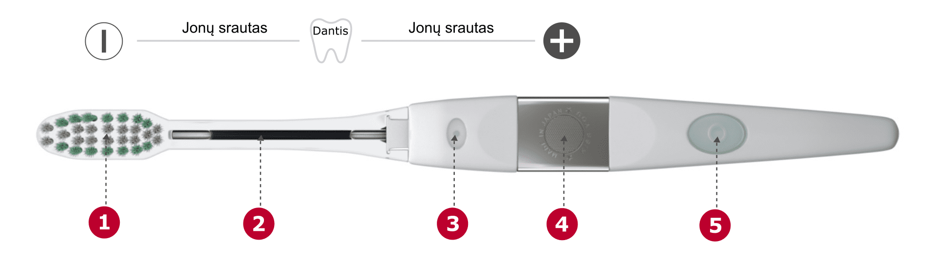 IONICKISS dantų šepetėlio instrukcija